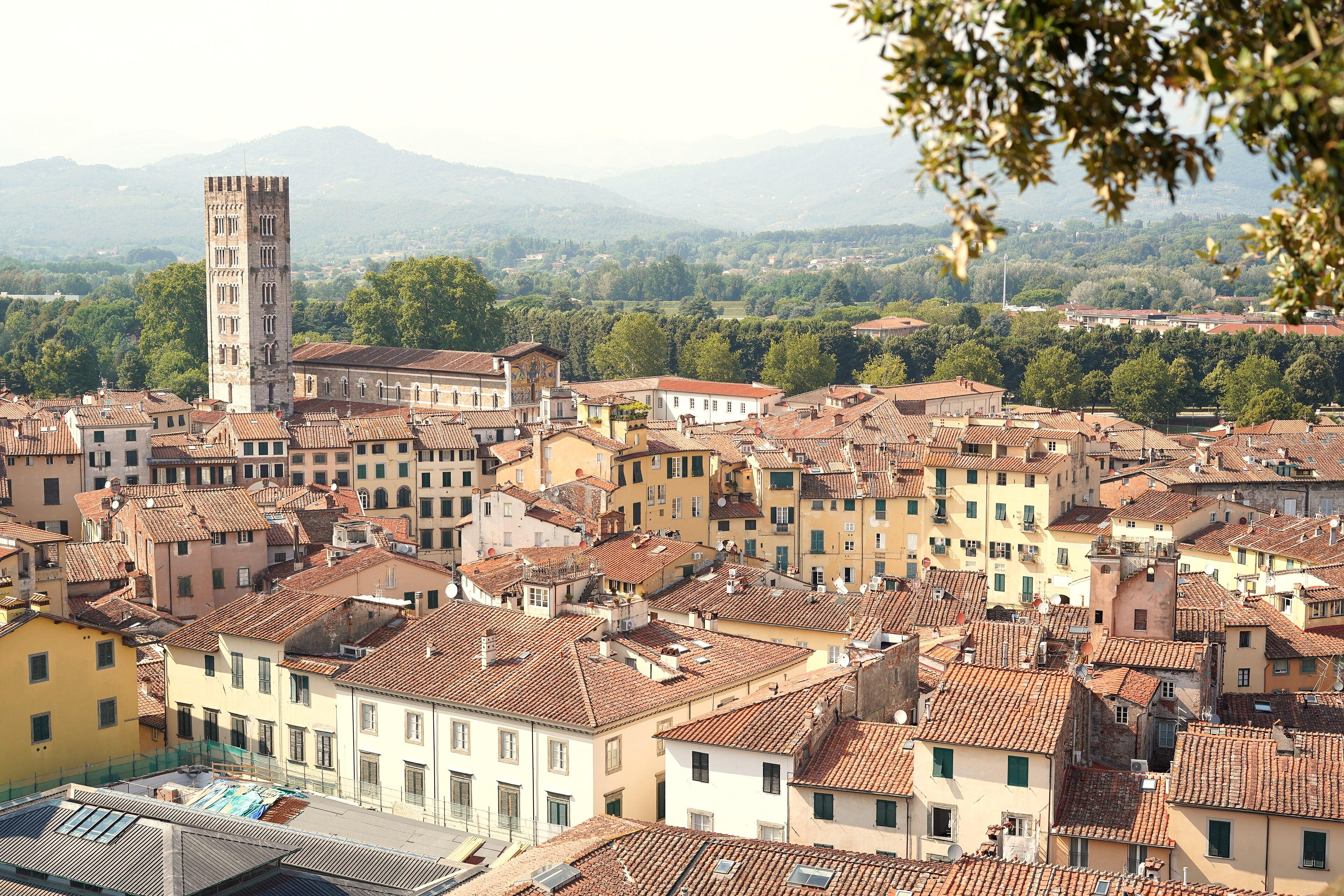 Torri e tetti di Lucca dalla Torre Guinigi, con le colline sullo sfondo